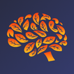 BrainBloom: Treino Cerebral
