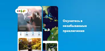 FindPenguins: Журнал поездки