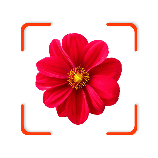 Plant App - Identifier & Care