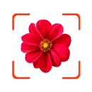 Plant App - Identifier & Care APK