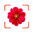 Plant App - Identifier & Care أيقونة
