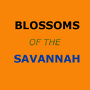 Blossoms of the Savannah Guide APK