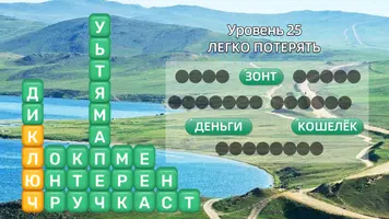 Разбить слова screenshot 1