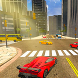 Real Car Driving Simulator