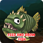 Feed & Grow Fish icône