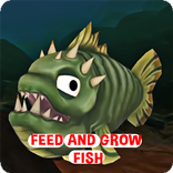 Feed & Grow Fish