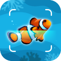 Fish Identification - Fish Id