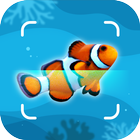 Fish Identification - Fish Id آئیکن