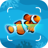 Fish Identification - Fish Id icône