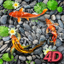 4D Koi Fish Live Wallpaper aplikacja