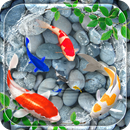 Pet Fish Live Wallpaper APK