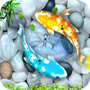 HD Fish Wallpaper APK