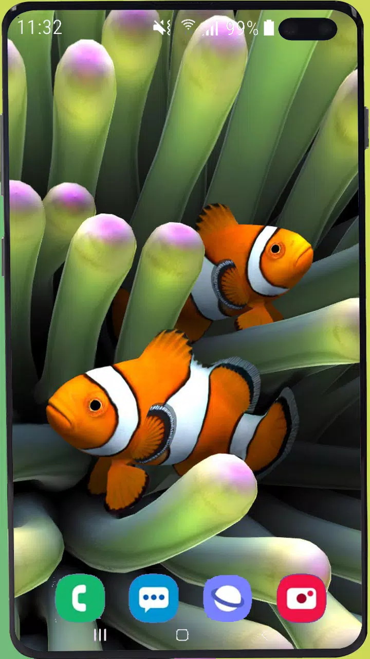Fish Wallpaper HD APK for Android Download Fish Wallpaper HD APK for Android Download