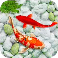 KOI Fish Live Wallpaper: Neues Fisch 2020 XAPK Herunterladen