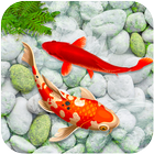 KOI Fish Живые Обои: Новая рыба Обои 2020 иконка