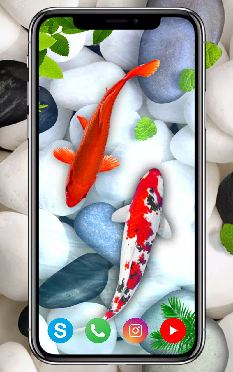 Tải xuống APK Hình nền cá KOI: Hình nền cá mới 2020 cho Android