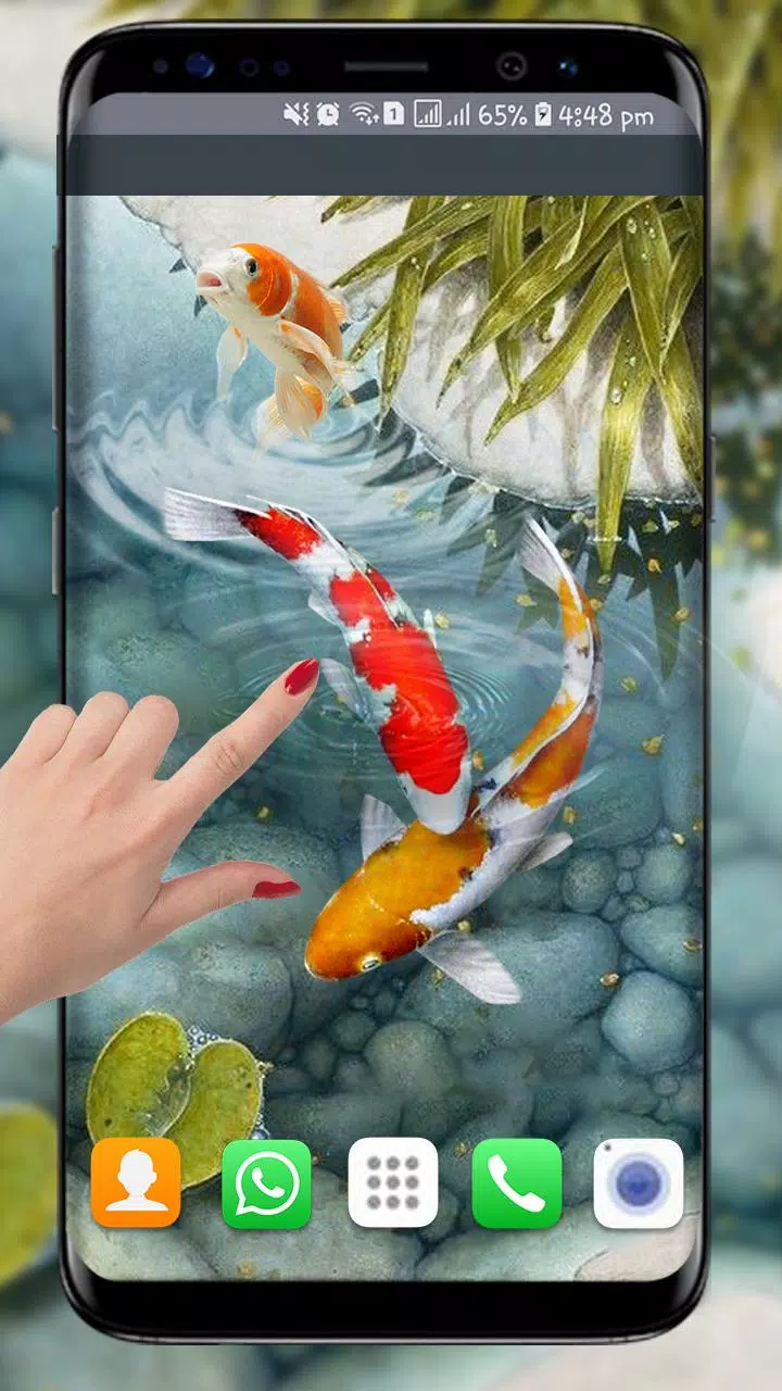 Tải xuống APK cá koi hình nền sống hình nền cá mới 3d cho Android