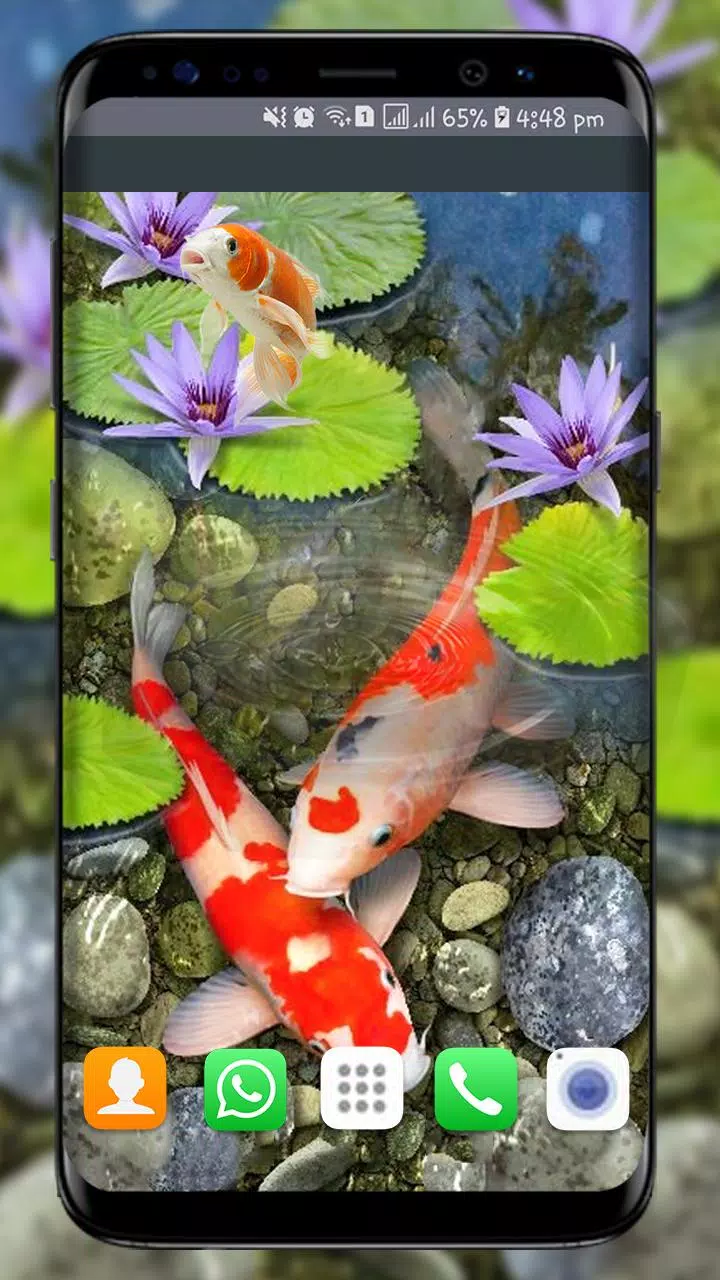 Tải xuống APK cá koi hình nền sống hình nền cá mới 3d cho Android