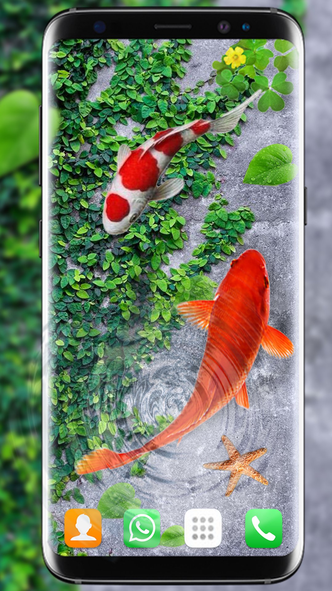 Koi Fish Live Wallpapers APK for Android Download