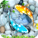 3D Live Fish HD Cool Wallpaper 2019 - Koi Pond APK