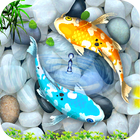 3D Live Fish HD Cool Wallpaper 2019 - Koi Pond icône