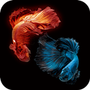 Fish Wallpaper APK