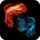 ikon Wallpaper Ikan