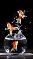 Fish Wallpapers screenshot 2
