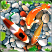 Koi Pet Fish Live Wallpaper