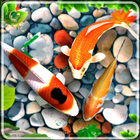 Koi Fish Live Wallpaper HD आइकन