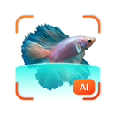 FishDetect - Fish Identifier APK