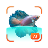 FishDetect - Fish Identifier иконка