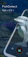 FishDetect ポスター