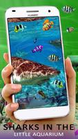3d Aquarium Koi Wallpapers - Fish Live Backgrounds screenshot 2