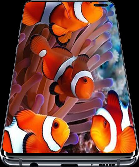 Beautiful Fish Wallpapers Android के लिए APK डाउनलोड करें Beautiful Fish Wallpapers Android के लिए APK डाउनलोड करें
