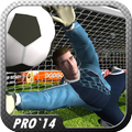 Professional Soccer (Football)