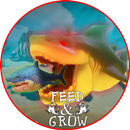 guide for fish feed and grow 2019 APK