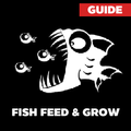 Guide for Fish feed And Grow