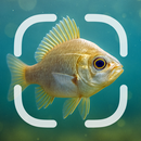 Fish Identifier APK
