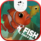 Feed and grow : Fish