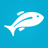 Fishing Forecast - Fishbox App aplikacja