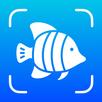 Fish Identifier – Fishium APK