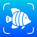 APK Fish Identifier - Fishium