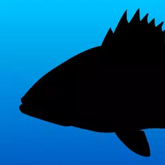 Fish Rules: Fishing App XAPK Herunterladen