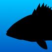 Fish Rules: Fishing App আইকন
