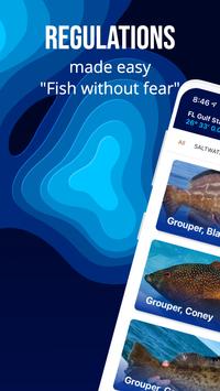 Fish Rules 截图 4