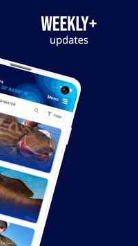 Fish Rules 截图 5