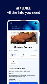 Fish Rules 截图 6