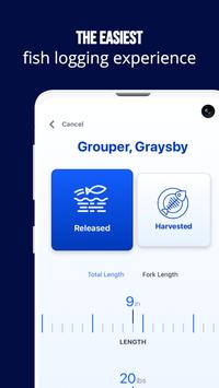 Fish Rules 截图 7