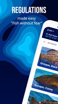 Fish Rules 海报